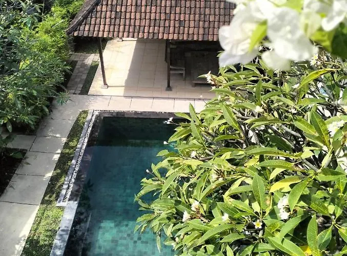 The Island Bali *